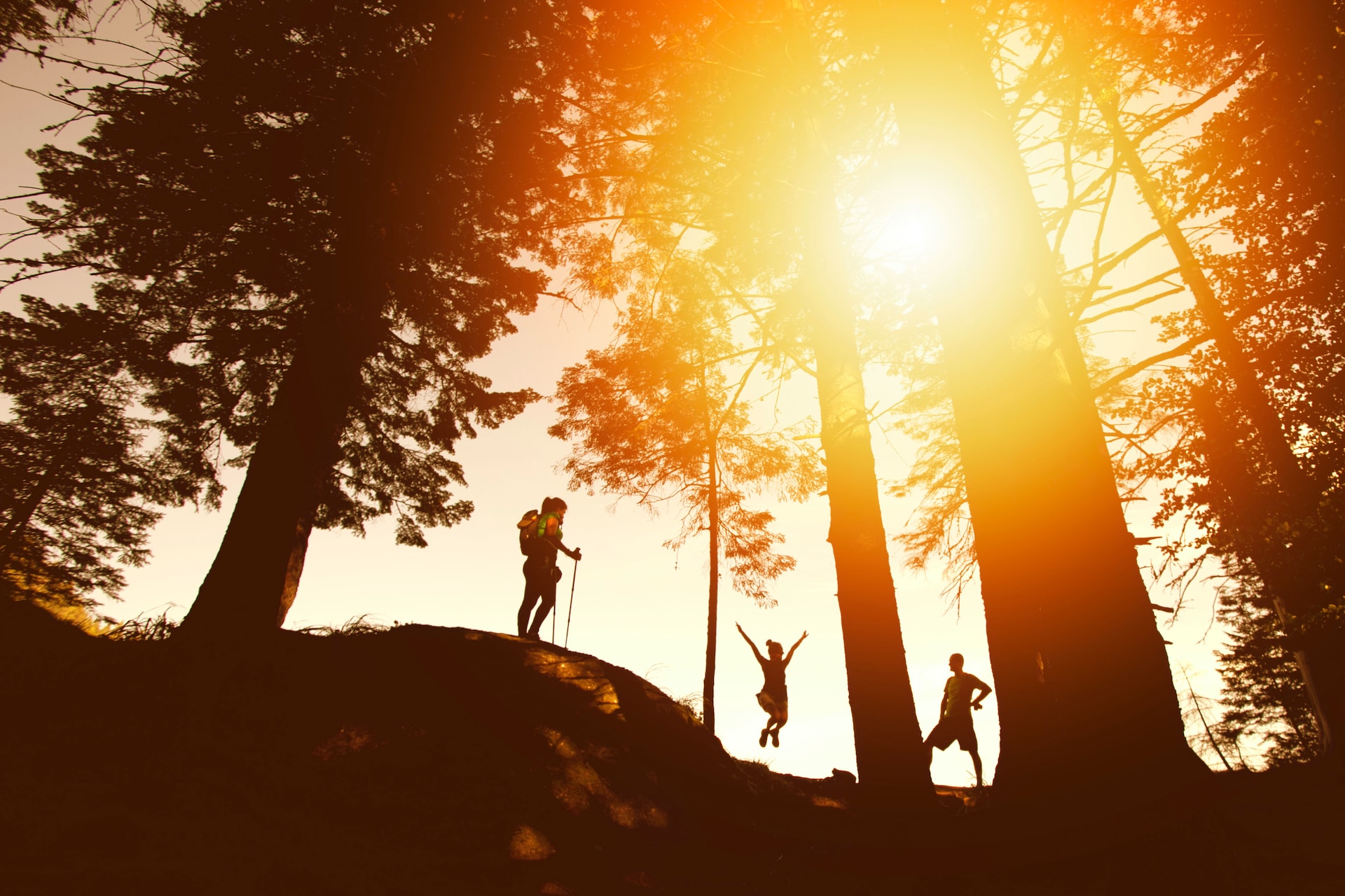 Hiker standing in a sunny forest.